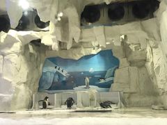 -华夏文旅海洋公园