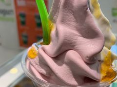 蓝莓口味冻酸奶-Salud撒露欧洲冻酸奶(北苑上品店)