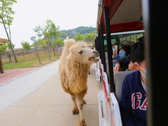 -南京金牛湖风景区