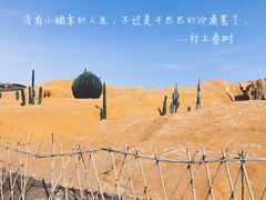 -西海岸生态观光园