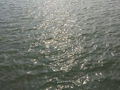 -滆湖低碳生态公园