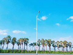 -海堤纪念公园