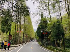 -青城山