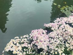 -杭州植物园