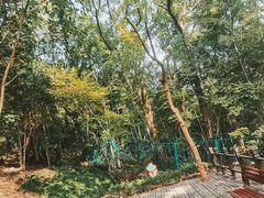 -上海佘山国家森林公园天马山园