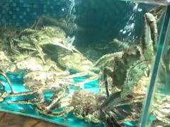 -宝燕海鲜(好爱店)