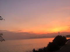 -深圳湾公园(南山区)