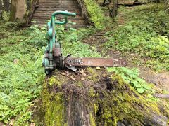 -五营红松林海景区