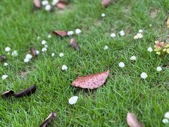 -梁鸿国家湿地公园