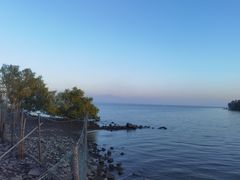 -深圳湾公园(南山区)