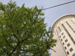 -中央音乐学院附中