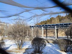 -森林公园(尖草坪区)