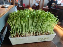 -湊湊火锅·茶憩(上海合生汇店)