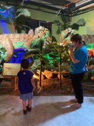 -恐龙探索乐园(磁器口店)