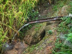 -紫鹊界梯田景区