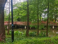 -顺峰山公园
