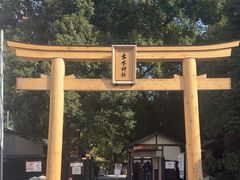 -水前寺成趣园