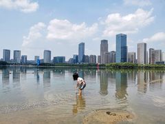 -天鹅湖体育公园