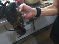 -纽顿熟食中心