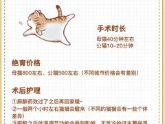 -瑞鹏宠物医院•异宠•宠保定点•流浪定点救助宠物医院(青祁店)