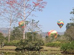 -中国科学院西双版纳热带植物园