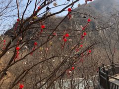 -黑龙潭风景区