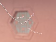 -桃花堤公园