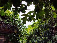 -回龙窝历史文化街区