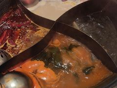 -朱光玉火锅馆(正弘城店)