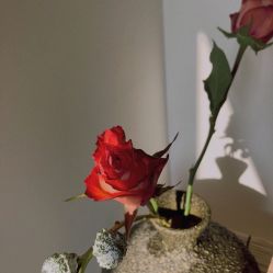 -思怡瑜伽·普拉提·减脂塑形