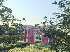 -广州花之恋城堡酒店