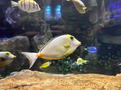 -南昌融创海世界