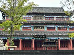 -武陵山森林公园