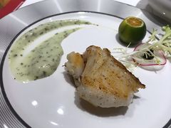 冰岛银鳕鱼-汕头皇城酒店