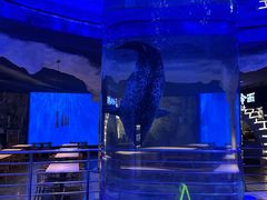 -上海海昌海洋公园-冰山北极馆