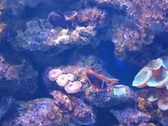 -威海华夏城景区