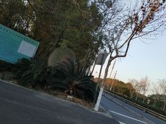 -宏泰园蔬果专业合作社