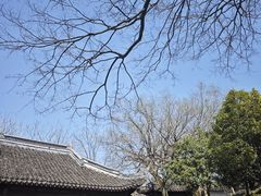 -上海佘山国家森林公园天马山园