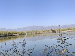 -野鸭湖国家湿地公园