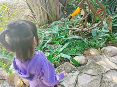 -灵玲国际马戏城