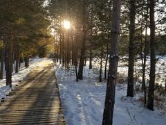 -北极村旅游风景区