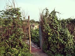 -永定河休闲森林公园