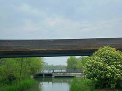 -昆山城市生态森林公园