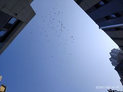 -王繁星面馆(西安熙地港店)