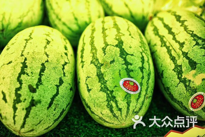 果子先生图片 - 第3张