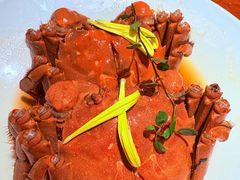 -寻宝记绍兴菜(笛扬楼店)