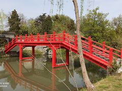 -盆景园(扬州大运河文化旅游度假区)