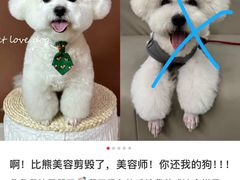 -久久宠物(河东万达店)