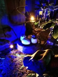 -恐龙探索乐园(磁器口店)