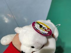-大连老虎滩海洋公园